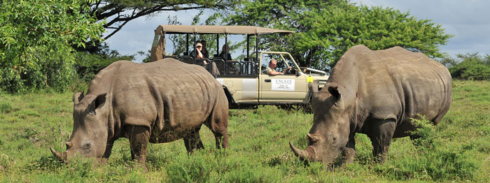 Book your Accommodation at Falaza Game Park, Hluhluwe iMfolozi Reservations Falaza Game Park Hluhluwe iMfolozi Game Reserve luxury tented accommodation