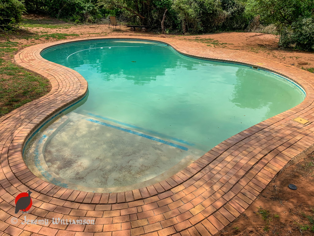Mantuma Camp, Mkuze Game Reserve - Hluhluwe iMfolozi Reservations