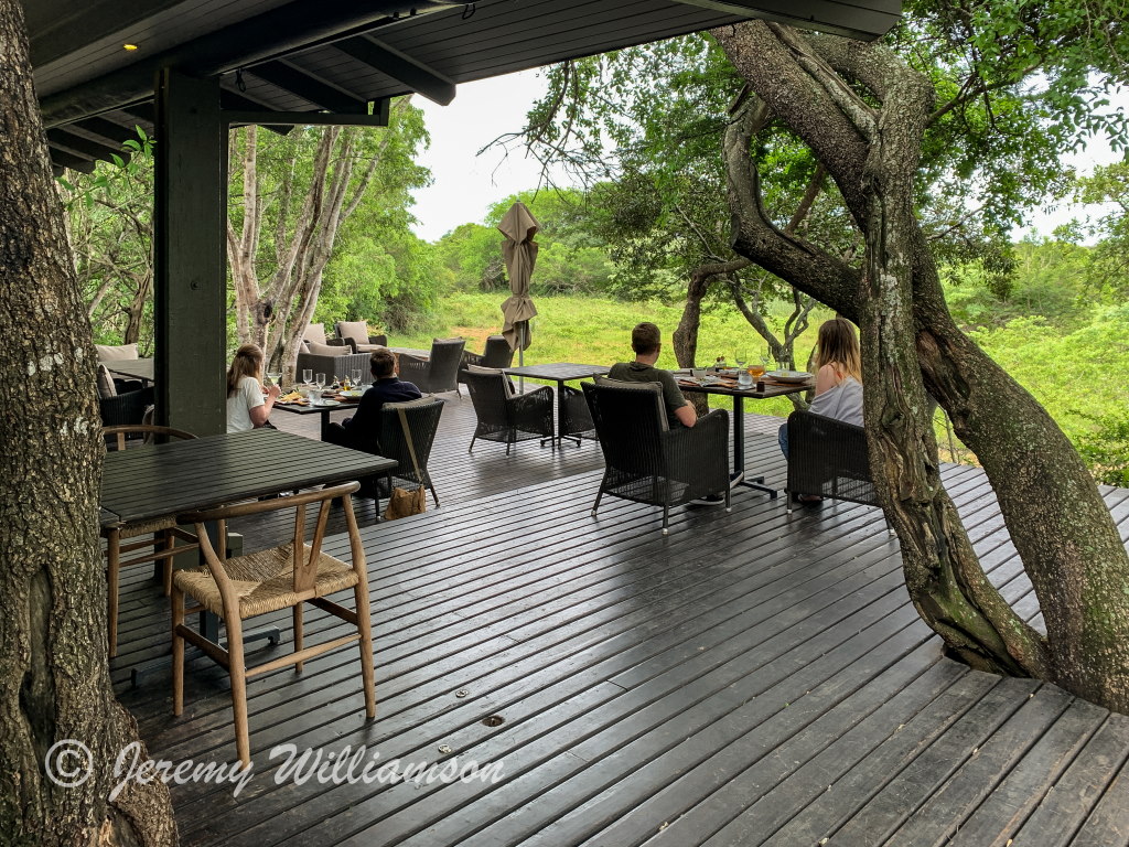Luxury Game Lodge Phinda Forest Lodge Phinda Private Game Reserve Big 5 Safari