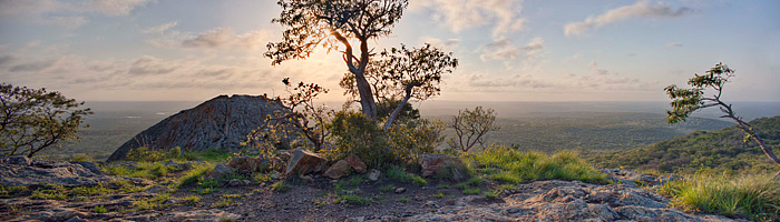 Phinda Private Game Reserve Big 5 African Safari Luxury Private Game Park South Africa