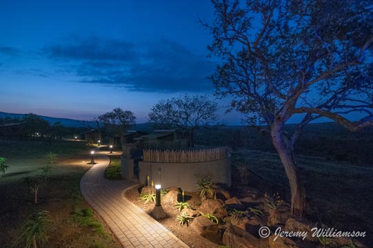 Zimanga Main Lodge - Path - Zimanga Private Game Reserve